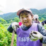 【花まるコラム】『根っこと羽』新井征太郎