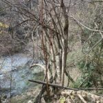 【すてきな サムシング③】『古代発火法検定』橋本一馬 2025年10月